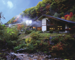 大正１２年創業　黄金色の巨石露天風呂　横谷温泉旅館に割引で泊まれる。