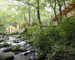 「蔵王の森」がつくる美と健康の温泉宿　ゆと森倶楽部に割引で泊まれる。